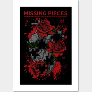 Missing Pieces Posters and Art